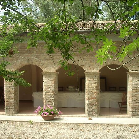 Tenuta Ca' Zen Taglio Di Po Ngoại thất bức ảnh