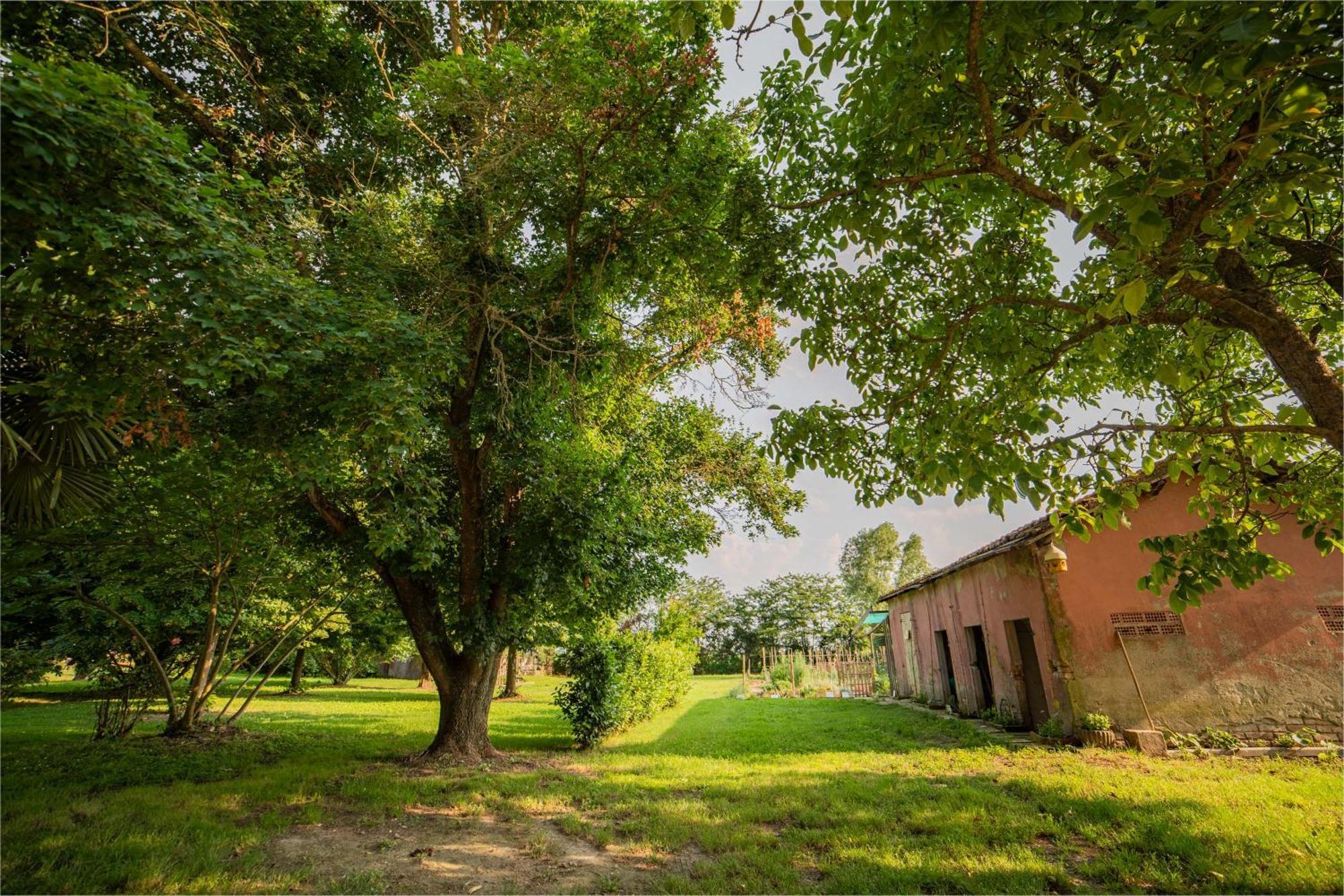 Tenuta Ca' Zen Taglio Di Po Ngoại thất bức ảnh